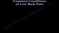 Low Back Pain,sciatica, Disc surgery Everything You Need To Know  Dr. Nabil Ebraheim