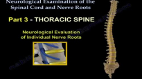 Neurological Examination Spinal Cord Part 3  Everything You Need To Know  Dr. Nabil Ebraheim