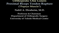 Proximal Biceps Tendon Rupture Popeye  Everything You Need To Know  Dr. Nabil .D
