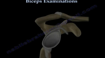 Biceps tendon Injuries, Examinations & Tests  Everything You Need To Know  Dr. Nabil Ebraheim