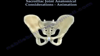 Sacroiliac Joint dysfunction ,animation  Everything You Need To Know  Dr. Nabil Ebraheim