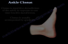 Ankle Clonus  Everything You Need To Know  Dr. Nabil Ebraheim