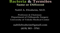 Bacteria infection and Termites  The Same or Different  Dr. Nabil Ebraheim