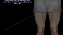 Vastus Lateralis intramuscular Injection  Everything You Need To Know  Dr. Nabil Ebraheim