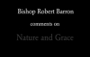 Bishop Barron on Nature and Grace.flv