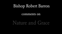 Bishop Barron on Nature and Grace.flv