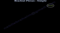 Brachial Plexus Simple  Everything You Need To Know  Dr. Nabil Ebraheim