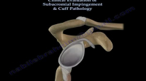 Shoulder Examination  Subacromial, Cuff  Everything You Need To Know  Dr. Nabil Ebraheim