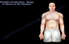 Shoulder Examination Range Of Motion Shoulder  Everything You Need To Know  Dr. Nabil Ebraheim