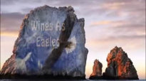 Wings As Eagles  Phil Driscoll