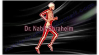 Dr. Nabil Ebraheim  Department of Orthopaedic Surgery  University of Toledo Medical Center