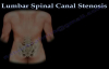 Lumbar Spinal Canal Stenosis, lowback pain  Everything You Need To Know  Dr. Nabil Ebraheim