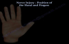 Nerve Injury, Positions Of The Hand  Everything You Need To Know  Dr. Nabil Ebraheim