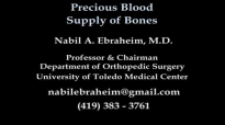 Precious Blood Supply of Bones Animation  Everything You Need to Know  Dr. Nab.D