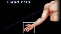 Hand Pain ,Fingers pain  Everything You Need To Know  Dr. Nabil Ebraheim