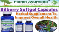 Bilberry Capsules Medicinal Uses, Health Benefits and Side effects