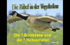 Die Bibel in der Vogelschau - Roger Liebi.flv