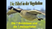 Die Bibel in der Vogelschau - Roger Liebi.flv