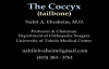 Coccyx, Tailbone pain coccydynia  Everything You Need To Know  Dr. Nabil Ebraheim