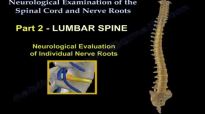 Neurological Examination Spinal Cord Part 2  Everything You Need To Know  Dr. Nabil Ebraheim
