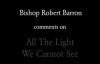 Bishop Barron on â€œAll The Light We Cannot Seeâ€.flv