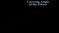 Carrying Angle Of The Elbow  Everything You Need To Know  Dr. Nabil Ebraheim