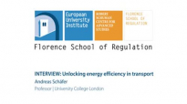 Unlocking energy efficiency in transport _ Andreas Schäfer, University College London (UCL).flv