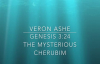 Veron Ashe Preaches on Genesis 3 24 The Mysterious Cherubim.mp4