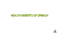 Health Benefits Of Spinach  Best Health Tip And Food Tips  Education
