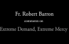 Fr. Robert Barron on Extreme Demands, Extreme Mercy.flv