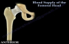Avascular Necrosis, Blood Supply Femoral Head Everything You Need To Know  Dr. Nabil Ebraheim