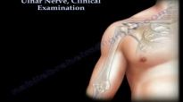 Ulnar Nerve, Clinical Examination  Everything You Need To Know  Dr. Nabil Ebraheim