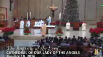 The Baptism of the Lord, Homily by Bishop Robert Barron (Jan 10, 2016).flv