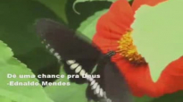 D uma chance pra Deus  Ednaldo Mendes