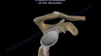 Clinical Evaluation Of The Shoulder  Everything You Need To Know  Dr. Nabil Ebraheim