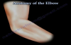 Anatomy Of The Elbow, Animation  Everything You Need To Know  Dr. Nabil Ebraheim