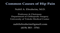 HIP PAIN ,COMMON CAUSES Everything You Need To Know  Dr. Nabil Ebraheim