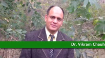 Pine bark Saral ghan Health Benefits, Uses, Dosage & Side Effects