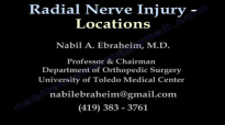 Radial Nerve Injury, Locations  Everything You Need To Know  Dr. Nabil Ebraheim
