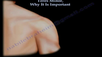 Teres Minor, Why It Is Important  Everything You Need To Know  Dr. Nabil Ebraheim