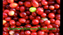 Cranberry & Urinary Tract health info you must know