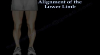 Alignment Of The Lower Limb  Everything You Need To Know  Dr. Nabil Ebraheim