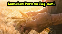 Ed Lapiz Preaching 2017 ➤ Lumabas Para sa Pag-aani.mp4