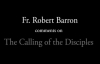 Fr. Robert Barron on The Calling of the Disciples.flv