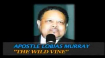 FULL GOSPEL HOLY TEMPLE  APOSTLE LOBIAS MURRAY  THE WILD VINE