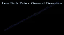 LOW BACK PAIN ,DISC PROBLEMS,CAUSES AND TREATMENT Everything You Need To Know  Dr. Nabil Ebraheim