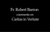 Fr. Robert Barron on Pope Benedict's Caritas in Veritate.flv