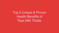 Top 5 Unique & Proven Health Benefits of Real Milk Thistle that You Dont Know