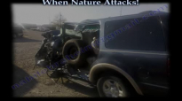 When Nature Attacks!