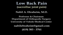 Sacroiliac Joint pain, animation  Everything You Need To Know  Dr. Nabil Ebrah.D